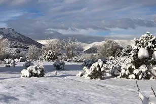 8398 N Hwy 302, Peoa, UT 84061 - Photo 43
