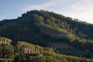 217 White Pne Cyn Rd, Park City, UT 84060 - Photo 49
