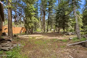 9282 Mohican Rd, Kamas, UT 84036 - Photo 17