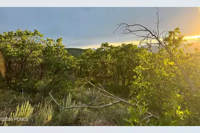 1556 S Tree Top Lane, Heber City, UT 84032 - Photo 5