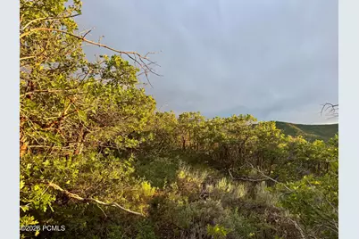 1556 S Tree Top Lane, Heber City, UT 84032 - Photo 9
