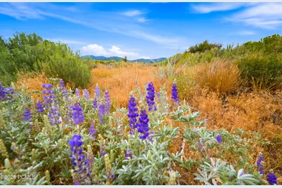 574 Fox Den Road, Midway, UT 84049 - Photo 15