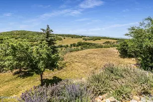 5983 N Maple Rdg Trl, Oakley, UT 84055 - Photo 85