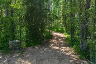 5958 Bull Moose Rd, Kamas, UT 84036 - Photo 15