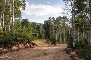 3318 S Forget Me Not Ln, Heber City, UT 84032 - Photo 41