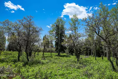 1172 W Maple Place, Coalville, UT 84017 - Photo 31