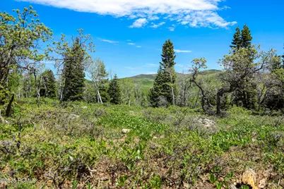 1172 W Maple Place, Coalville, UT 84017 - Photo 7