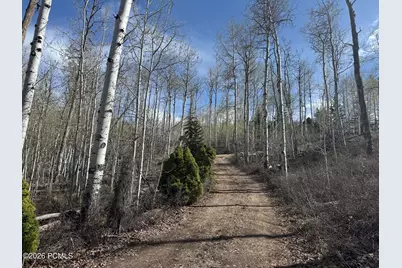 10737 E Tanglewood Drive #Lot 630, Heber City, UT 84032 - Photo 3