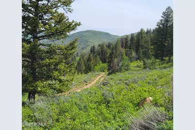 40 Sunridge Ranches, Huntsville, UT 84317 - Photo 11