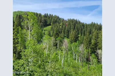 40 Sunridge Ranches, Huntsville, UT 84317 - Photo 3
