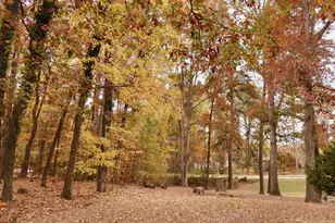 3007 Old Raleigh Rd, Apex, NC 27502 - Photo 33