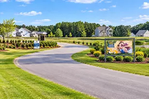 243 Kissington Wy, Benson, NC 27504 - Photo 49