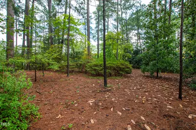 715 Powell Drive, Raleigh, NC 27606 - Photo 57