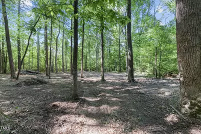 Lot 2 Helena Moriah Road, Timberlake, NC 27583 - Photo 7