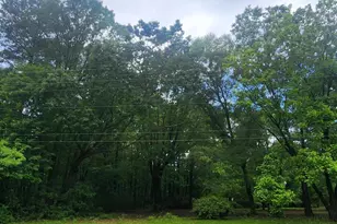8224 Bells Lake Rd, Apex, NC 27539 - Photo 1