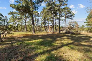 000 Cedar Ln Rd, Sanford, NC 27330 - Photo 9