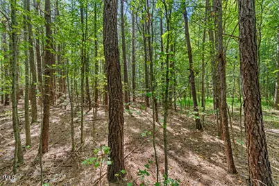 4106 Wilson Town Road, Oxford, NC 27565 - Photo 7