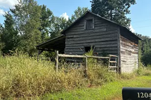1204 Winfred Brady Rd, Bennett, NC 27208 - Photo 15