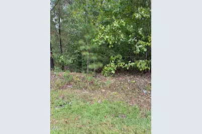 0 Gordon Moore Road, Franklinton, NC 27525 - Photo 1