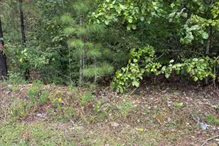 0 Gordon Moore Rd, Franklinton, NC 27525 - Photo 1