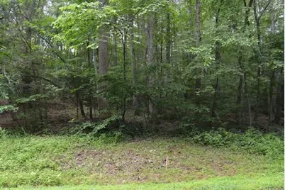 0 Tom Wright Road, Franklinton, NC 27525 - Photo 9