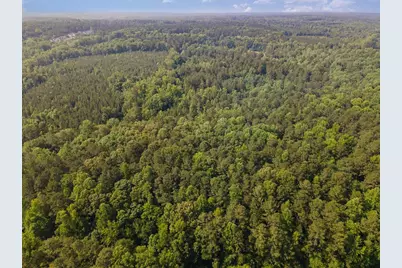 0 Tom Wright Road, Franklinton, NC 27525 - Photo 19