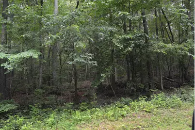 0 Tom Wright Road, Franklinton, NC 27525 - Photo 13