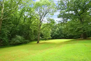 8509 Stagville Rd, Bahama, NC 27503 - Photo 85
