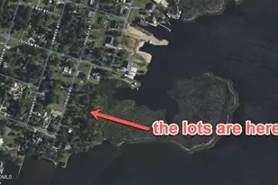 328 Tooley St, Belhaven, NC 27810 - Photo 15