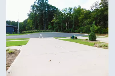 142 Autumn Gate Street, Pittsboro, NC 27312 - Photo 57