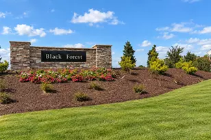 285 Black Forest Pointe Trl, Benson, NC 27504 - Photo 17