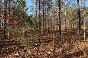Lot 1 Wolf Tree Way, Efland, NC 27243 - Photo 29