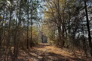 Lot 1 Wolf Tree Way, Efland, NC 27243 - Photo 25