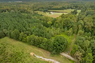 Lot 1 Wolf Tree Way, Efland, NC 27243 - Photo 23