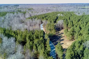Lot D Wolf Tree Way, Efland, NC 27243 - Photo 21