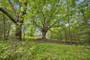 Lot D Wolf Tree Way, Efland, NC 27243 - Photo 29