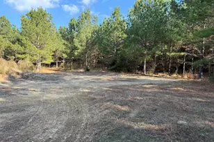 Lot 3 Wolf Tree Way, Efland, NC 27243 - Photo 27