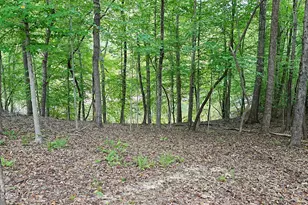 101 Stillwater Ln, Roxboro, NC 27574 - Photo 21