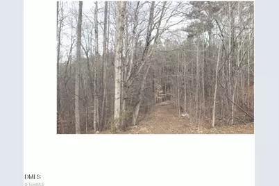 00 Mountain View, Pelham, NC 27311 - Photo 3