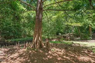 512 Hertford St, Raleigh, NC 27609 - Photo 35