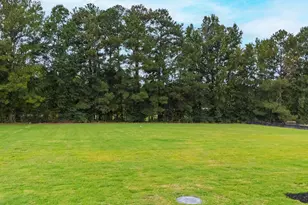 2433 Rosslare Mews Ln, Wendell, NC 27591 - Photo 51