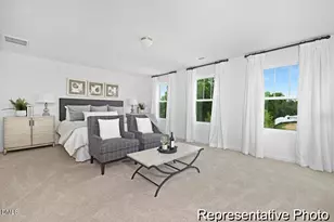 157 Open Meadow Ct, Lillington, NC 27546 - Photo 13