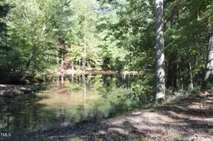6300 Swallow Cove Ln, Raleigh, NC 27614 - Photo 61