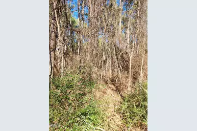 174 Solomon Worley Drive, Moncure, NC 27559 - Photo 3
