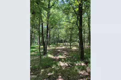 2338 Bowers Store Road, Siler City, NC 27344 - Photo 5