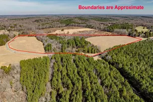 0 Mark Willett Rd, Bear Creek, NC 27207 - Photo 1