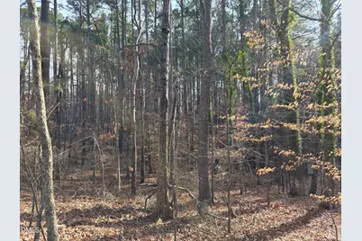 906 Ardmore Drive, Durham, NC 27713 - Photo 1