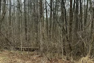 92 Lot Haynoke Dr, Graham, NC 27253 - Photo 1