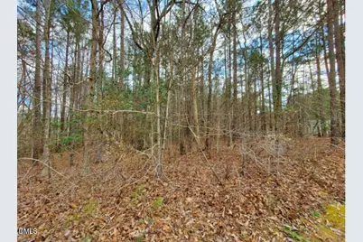 195 Owl Drive, Youngsville, NC 27596 - Photo 1