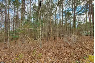 195 Owl Dr, Youngsville, NC 27596 - Photo 1